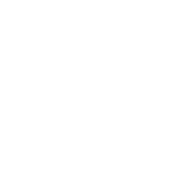 USA Boxing Logo